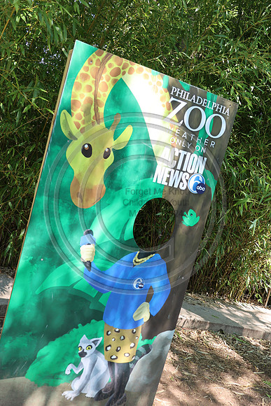 KTIN9552. Philadelphia Zoo 08112024 ktiplaura@gmail.com