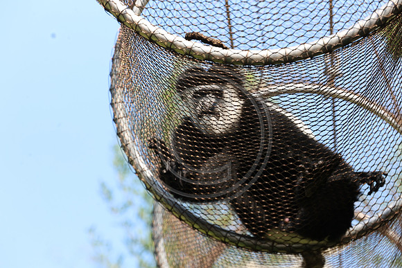 KTIN9594. Philadelphia Zoo 08112024 ktiplaura@gmail.com