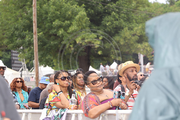 IMG_1066.  ROOTS PICNIC 2024 mylifeourlifestory@gmail.com
