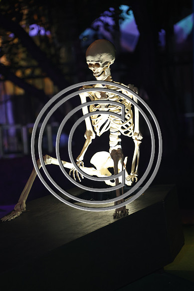 ROSS0689 Spooky Mini Golf Franklin Square Fall 2025 ktiplaura 09302025