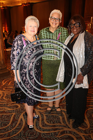MAHL0233 Marian Anderson Museum Reopening Gala Celebration B 2925 0302