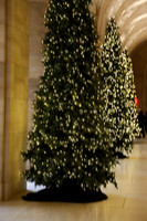 Vets at the Art Museum 12 2025 KTIPLAURAPHSL0005
