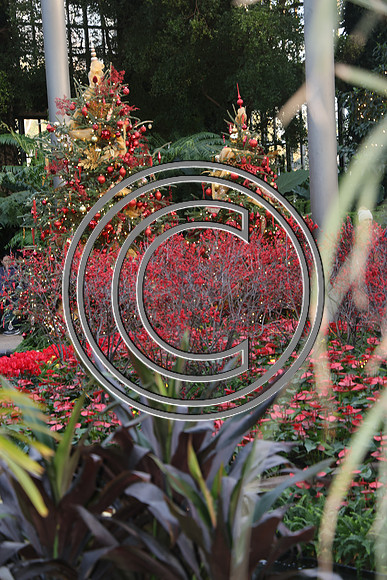 PHSL0023 Longwood Gardens 12242025 ktiplaura