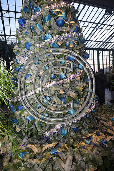 PHSL0152 Longwood Gardens 12242025 ktiplaura
