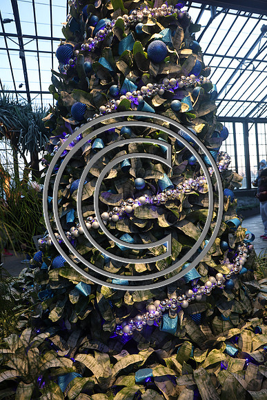 PHSL0154 Longwood Gardens 12242025 ktiplaura