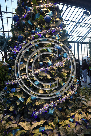 PHSL0153 Longwood Gardens 12242025 ktiplaura