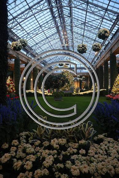 PHSL0204 Longwood Gardens 12242025 ktiplaura