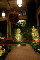 PHSL0377 Longwood Gardens 12242025 ktiplaura