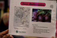 PHSL0166. PHS FLOWER SHOW 2026 MARCH 3 2026 KTIPLAURA