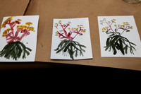 PHSL0170. PHS FLOWER SHOW 2026 MARCH 3 2026 KTIPLAURA