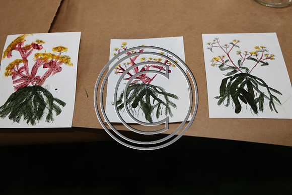 PHSL0170. PHS FLOWER SHOW 2026 MARCH 3 2026 KTIPLAURA