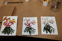 PHSL0169. PHS FLOWER SHOW 2026 MARCH 3 2026 KTIPLAURA