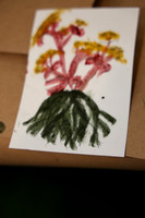 PHSL0171. PHS FLOWER SHOW 2026 MARCH 3 2026 KTIPLAURA