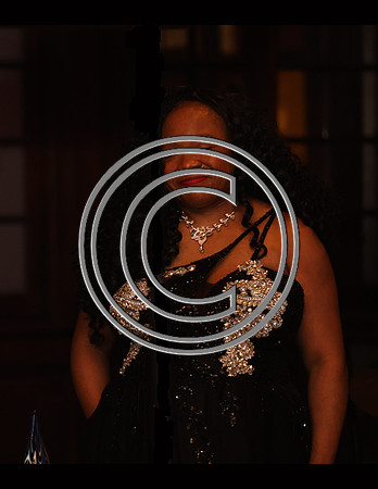 PHSL0275. MARIAN ANDERSON MUSEUM AND HISTORICAL SOCIETY 31ST ANNIVERSARY GALA 2026 ktiplaura