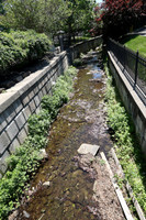 PHSL0008