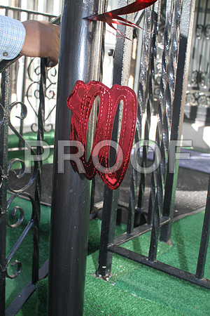 Mrs. Minnie High,  Philadelphia  100th Birthday 02092013 (2)