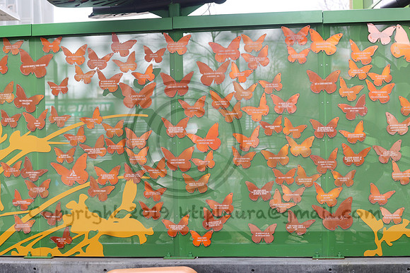 IMG_3378.Campaign For Working Families 03 02 2023 ktiplaura@gmail.com