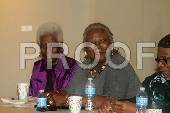 ASCAC 2013 Conference  Day 1 Keep Time in Place, with Laura  (224)