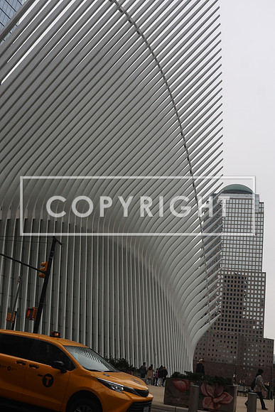 EG256751 2025 NEW YORK KTIPLAURA