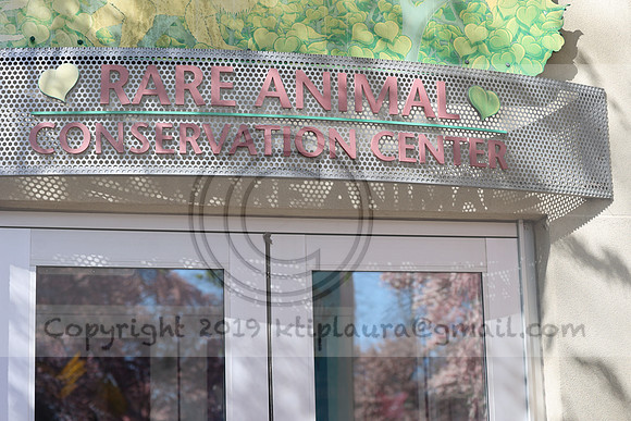 IMG_7987. Philadelphia Zoo 2023 April 2 Ktiplaura@gmail.xom