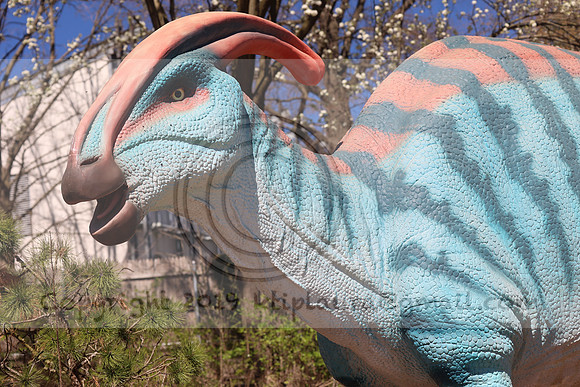 IMG_8153. Philadelphia Zoo 2023 April 2 Ktiplaura@gmail.xom