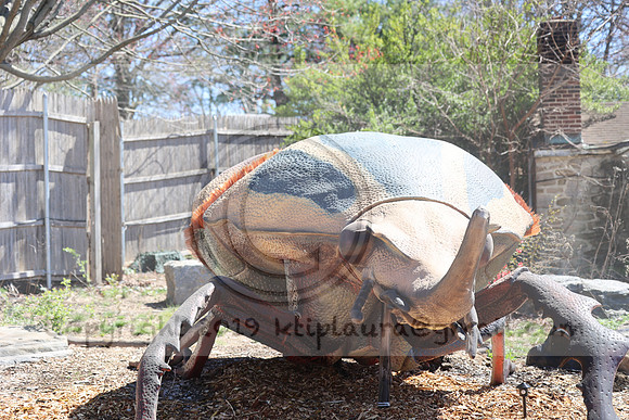 IMG_8159. Philadelphia Zoo 2023 April 2 Ktiplaura@gmail.xom