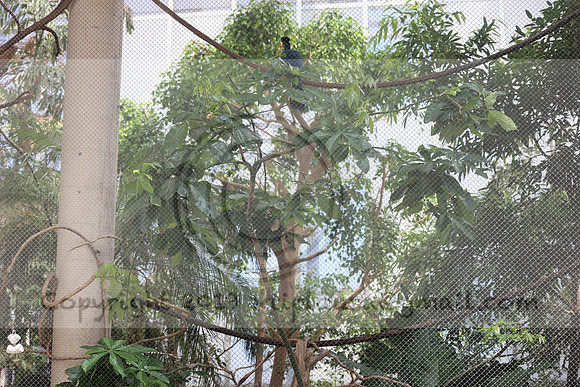 IMG_8239. Philadelphia Zoo 2023 April 2 Ktiplaura@gmail.xom