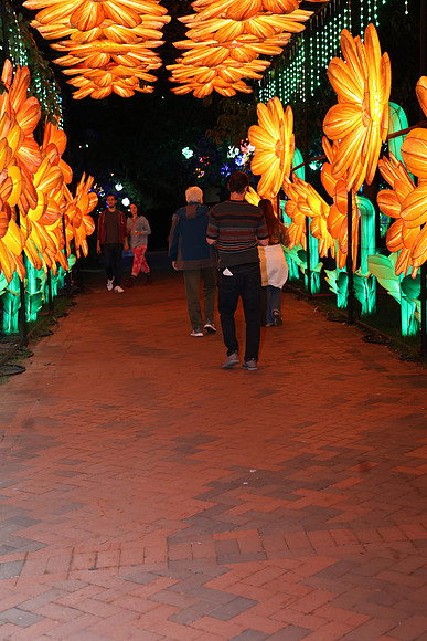 3I7A6963.   Chinese Lantern Festival 2023 ktiplaura@gmail.com