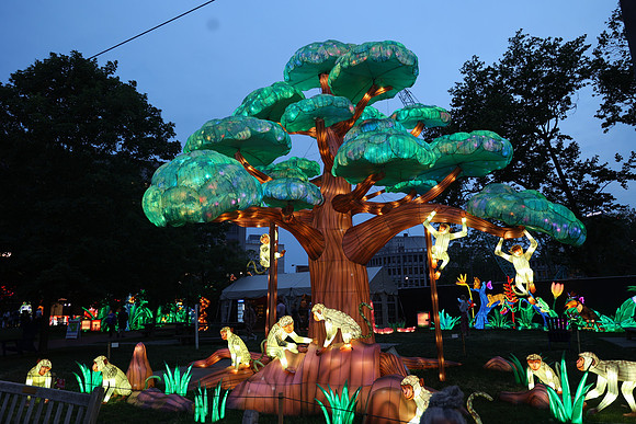 3I7A6903.   Chinese Lantern Festival 2023 ktiplaura@gmail.com