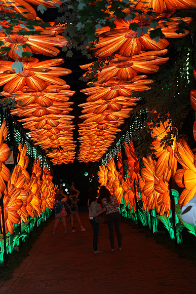 3I7A6958.   Chinese Lantern Festival 2023 ktiplaura@gmail.com