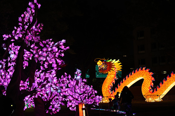 3I7A7009.   Chinese Lantern Festival 2023 ktiplaura@gmail.com