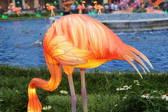 3I7A6884.   Chinese Lantern Festival 2023 ktiplaura@gmail.com