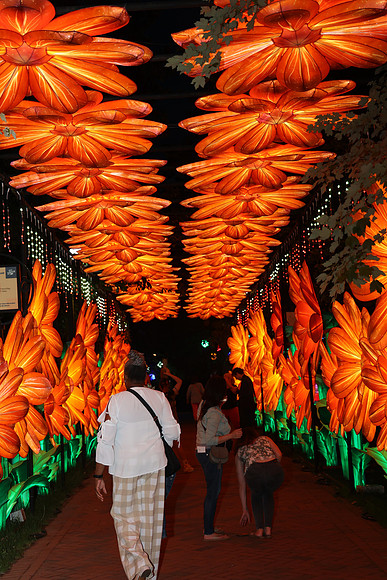 3I7A6960.   Chinese Lantern Festival 2023 ktiplaura@gmail.com