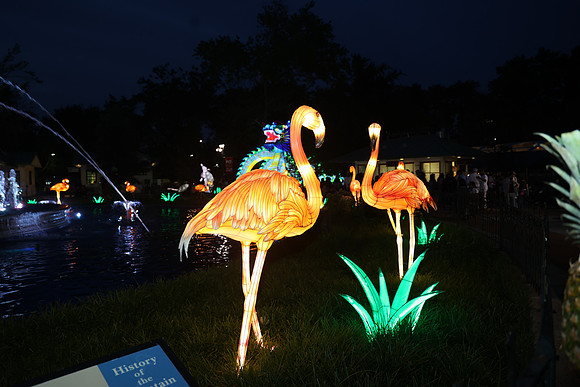 3I7A6944.   Chinese Lantern Festival 2023 ktiplaura@gmail.com