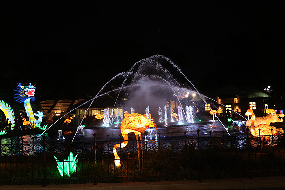 3I7A7006.   Chinese Lantern Festival 2023 ktiplaura@gmail.com