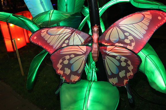 3I7A7014.   Chinese Lantern Festival 2023 ktiplaura@gmail.com