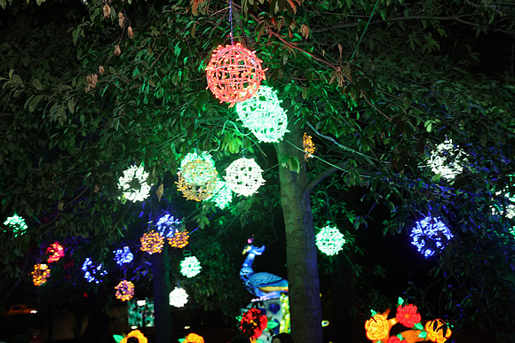 3I7A6965.   Chinese Lantern Festival 2023 ktiplaura@gmail.com