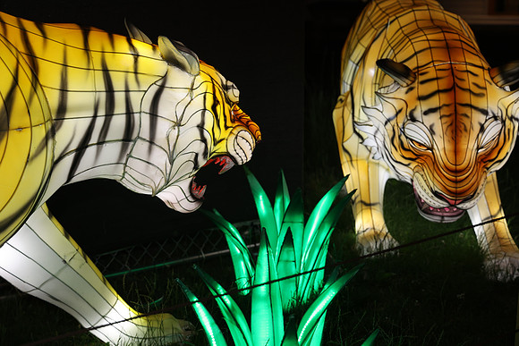 3I7A6999.   Chinese Lantern Festival 2023 ktiplaura@gmail.com