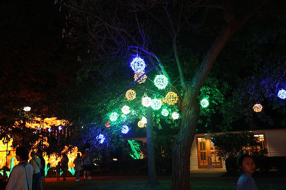 3I7A6977.   Chinese Lantern Festival 2023 ktiplaura@gmail.com