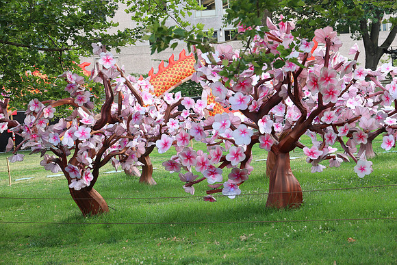 3I7A6766.   Chinese Lantern Festival 2023 ktiplaura@gmail.com