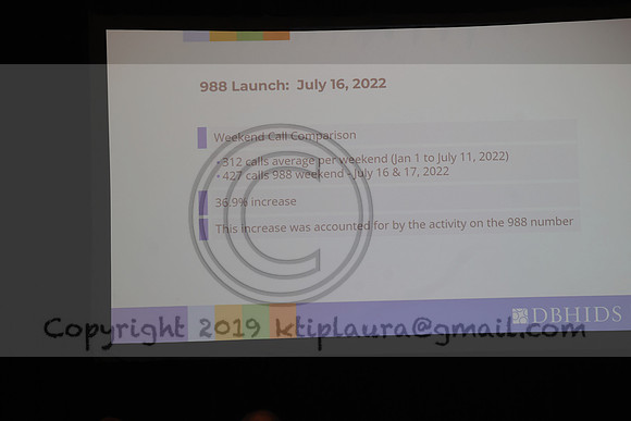 LEEL9172.National Medical Association Region 2 Conference  04282023  Ktiplaura@gmail.Com