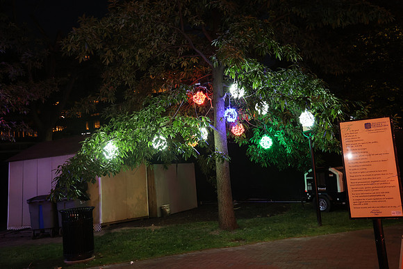 3I7A6988.   Chinese Lantern Festival 2023 ktiplaura@gmail.com