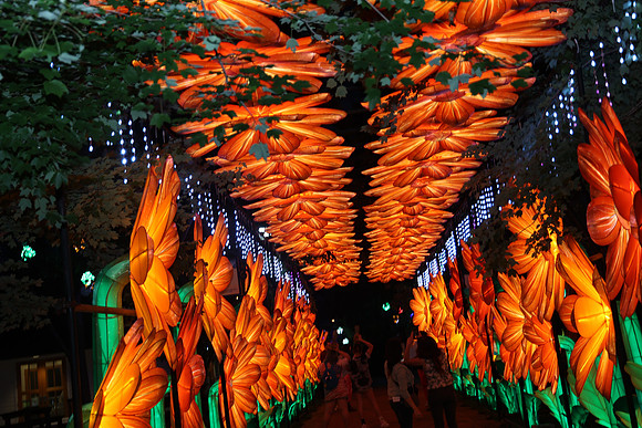 3I7A6957.   Chinese Lantern Festival 2023 ktiplaura@gmail.com