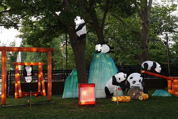 3I7A6840.   Chinese Lantern Festival 2023 ktiplaura@gmail.com
