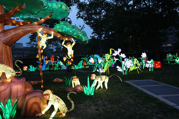 3I7A6906.   Chinese Lantern Festival 2023 ktiplaura@gmail.com
