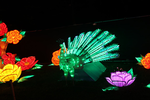 3I7A6978.   Chinese Lantern Festival 2023 ktiplaura@gmail.com