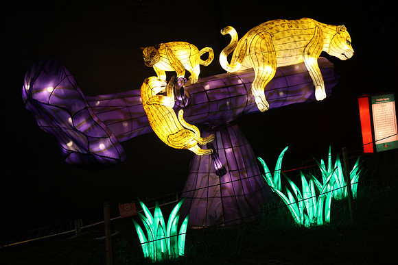 3I7A6995.   Chinese Lantern Festival 2023 ktiplaura@gmail.com