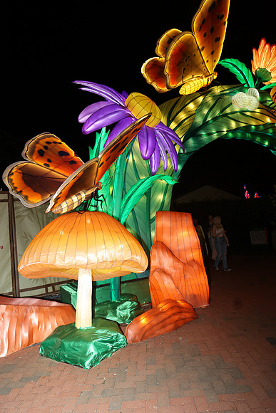 3I7A7049.   Chinese Lantern Festival 2023 ktiplaura@gmail.com