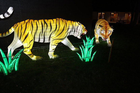 3I7A6998.   Chinese Lantern Festival 2023 ktiplaura@gmail.com