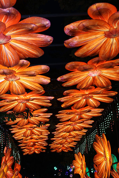3I7A6962.   Chinese Lantern Festival 2023 ktiplaura@gmail.com